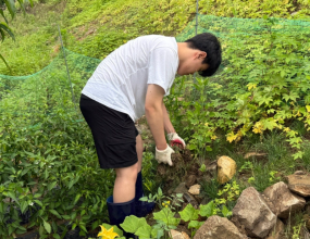 심은 씨앗과 모종들이 잘 자랄 수 있도록 주변의 잡초를 골라내며,
작물이 건강하게 자라기 위해 주변 환경을 가꾸는 일이 얼마나 중요한지 체험하는 시간이 되었습니다.

또한, 자신이 키우는 상추, 딸기, 수박에 물을 주며 식물이 갈증을 느끼지 않도록 세심하게 살피며
충분히 자란 상추를 직접 수확하고 그동안의 노력이 결실로 이어지는 기쁨을 맛 보았습니다.

자연을 돌보는 일이 단순한 노동이 아닌 책임감과 즐거움이 함께하는 소중한 경험임을 몸소 느낄 수 있었습니다.